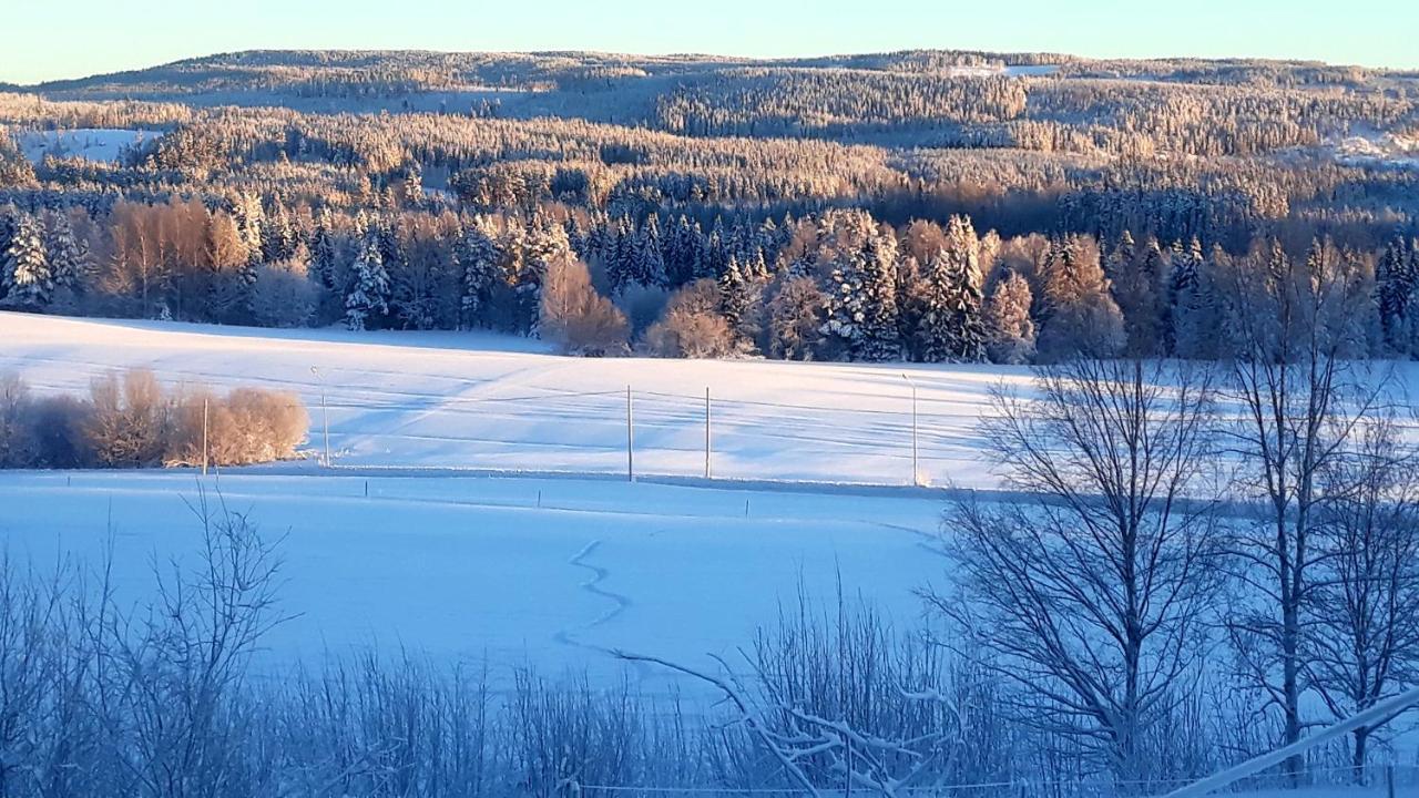 Cozy Stuga - Mountain View Ramsele Екстериор снимка