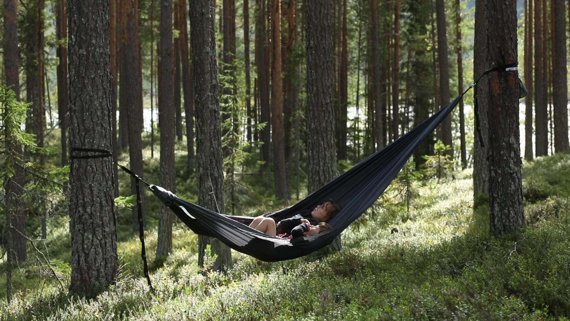 Cozy Stuga - Mountain View Ramsele Екстериор снимка